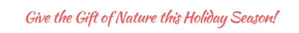 Holiday Giving, Gift of Nature, Audubon Society of Rhode Island
