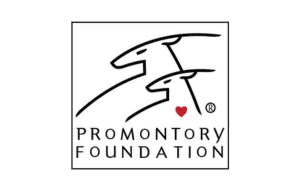 Promontory Foundation