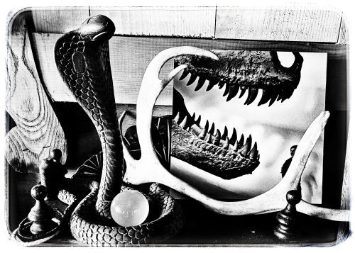 T-Rex and Cobra