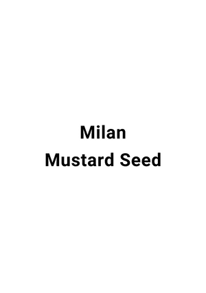 Milan Mustard Seed