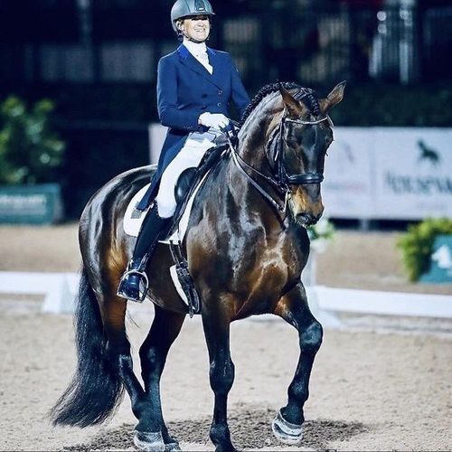 Liz Austin (FL)