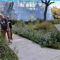 9 Natives Garden, Houston Museum of Natural Science