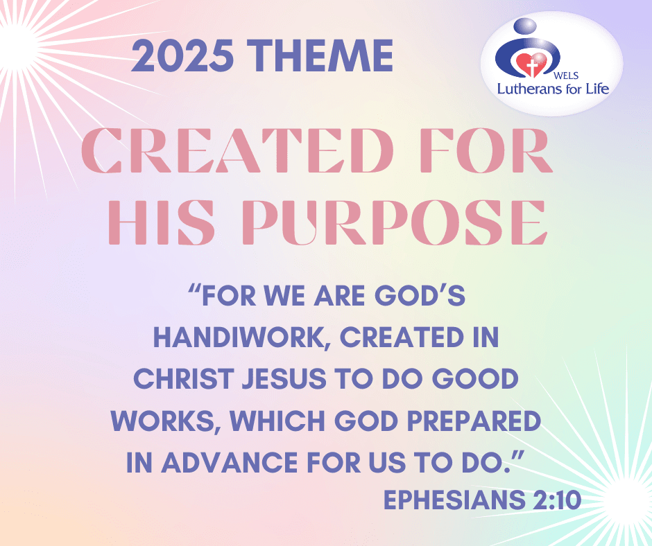 2025 Theme - Created for His Purpose