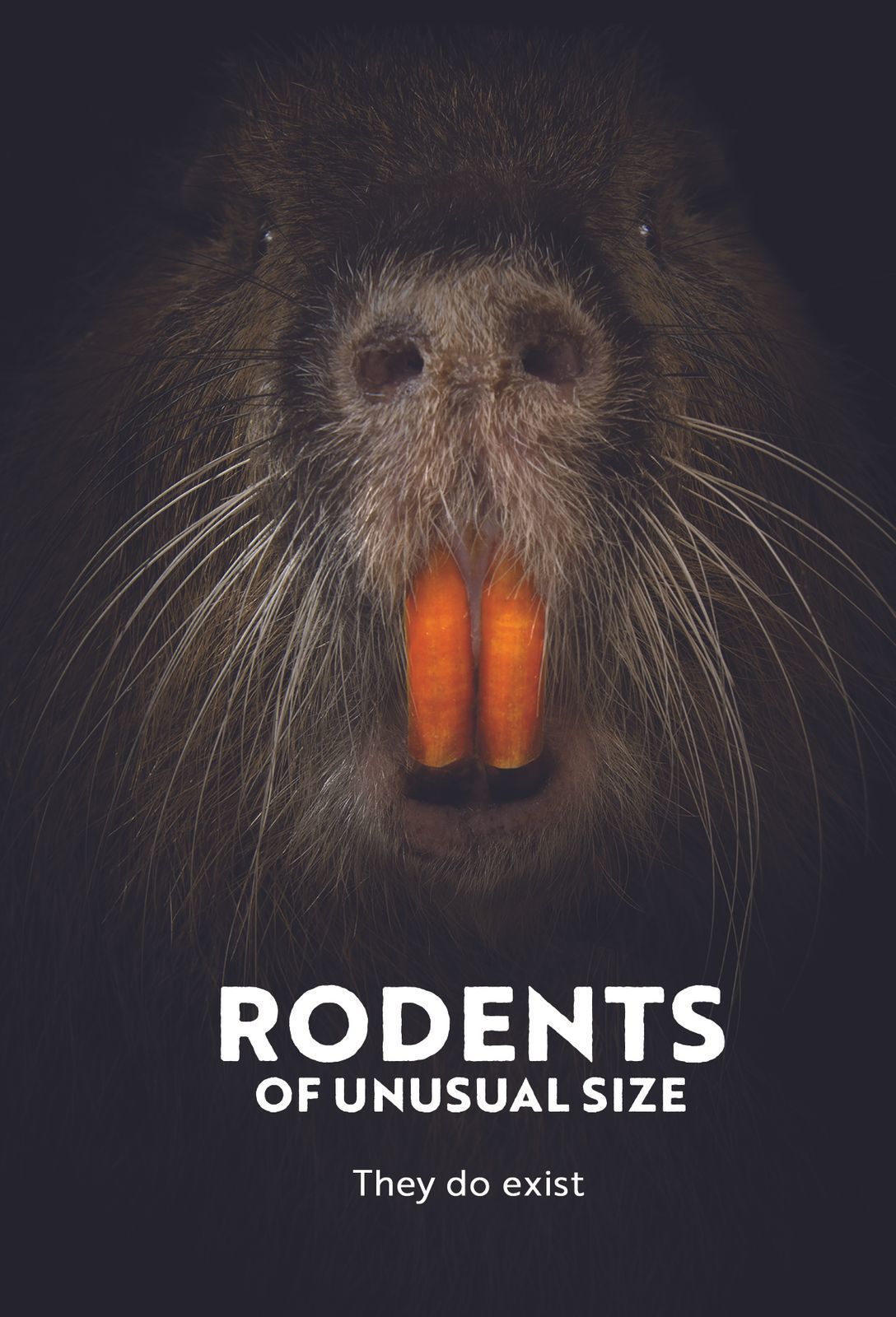 SUMMER FILM SERIES: Rodents of Unusual Size