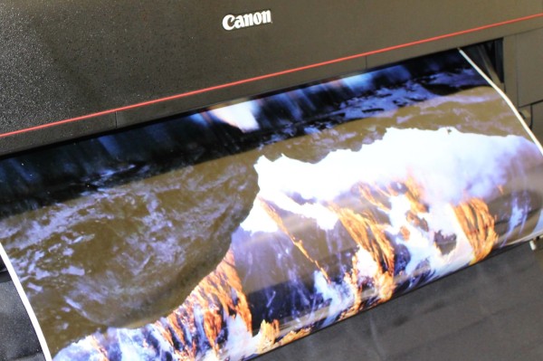 Full scale color or black and white, we can bring to life whatever you're picturing.