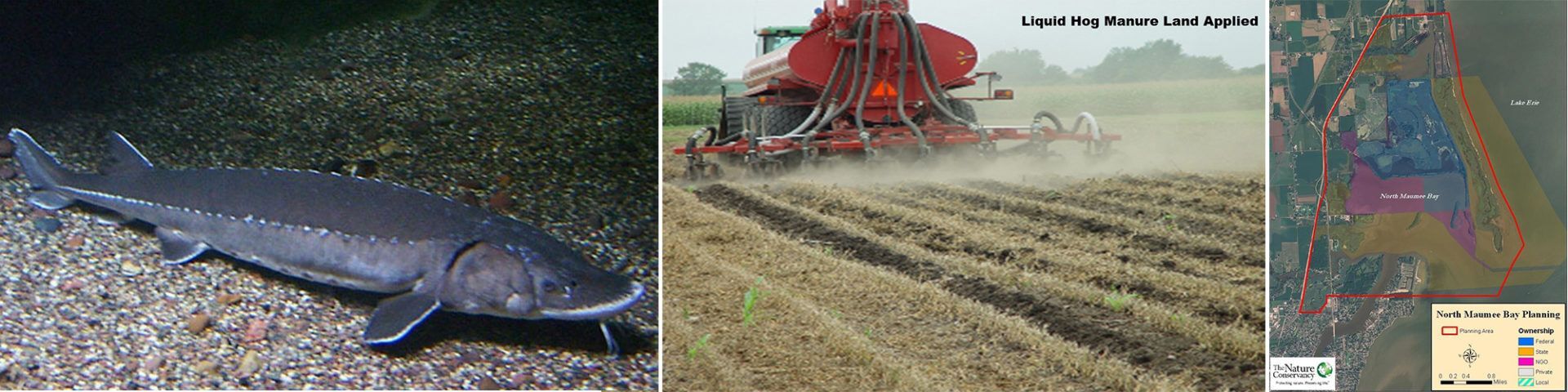 Fish and combine and map.