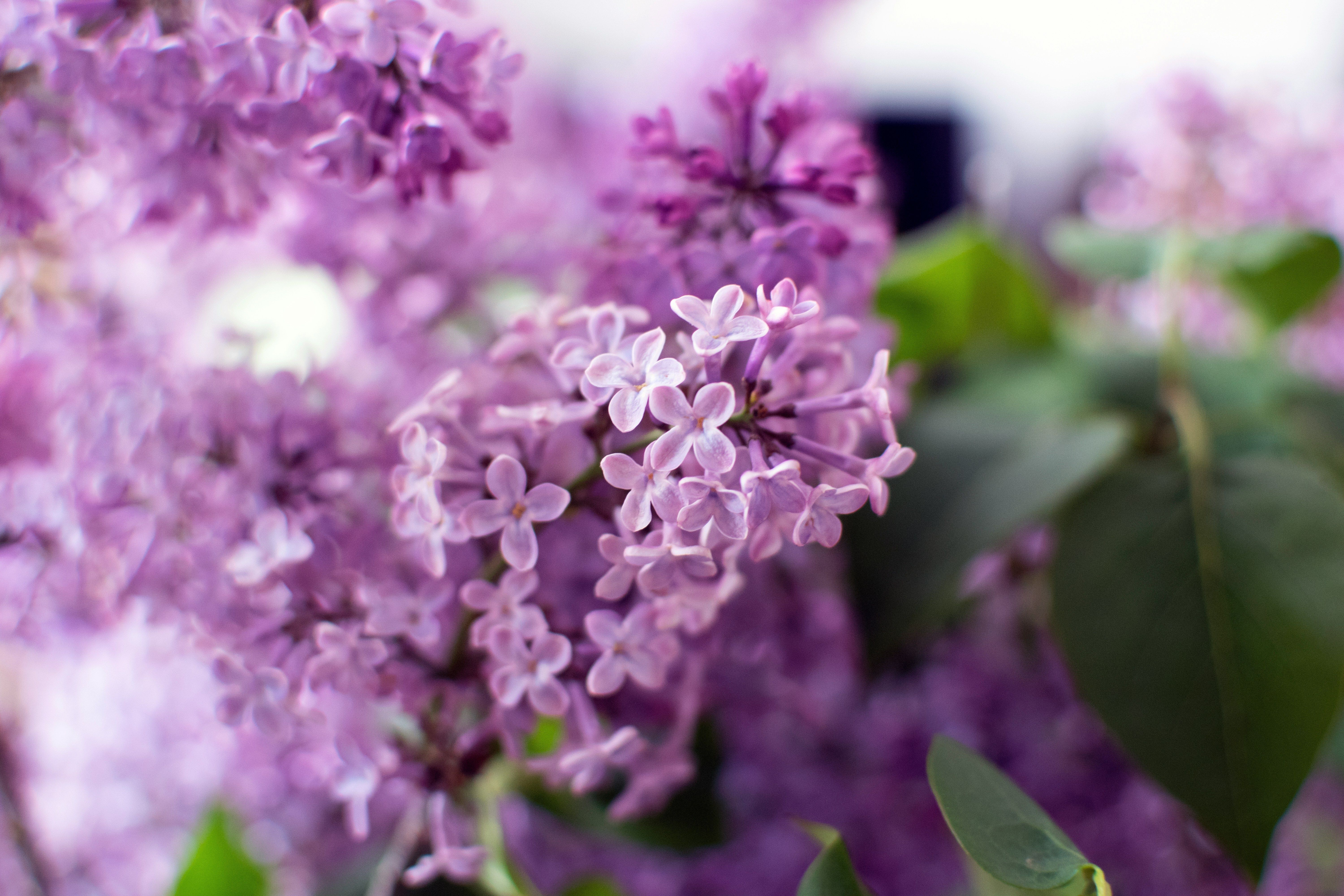 May Newsletter