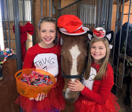 "NOT SO SPOOKY" Stable Shindig