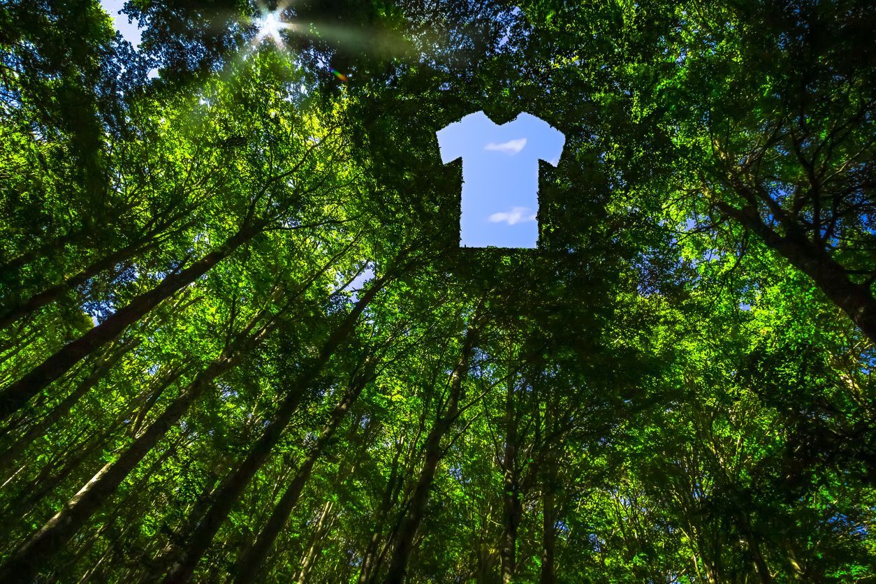 a tee shirt floating in a background of trees