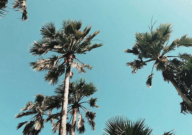 Class Is Out: Marketing to College Students on Spring Break