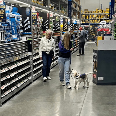 Paragon Offers Unique Workshop Opportunity - Service Dog Success for Smaller Organizations