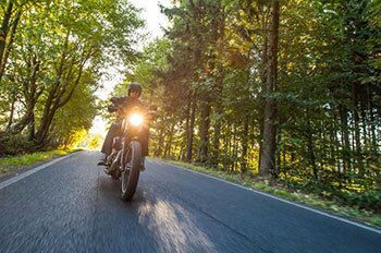 Motorcycle driving in the woods.