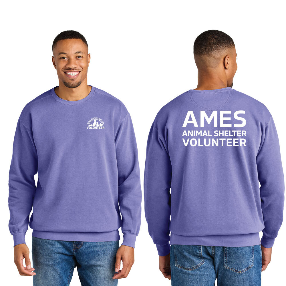 Comfort Colors® Ring Spun Crewneck Sweatshirt