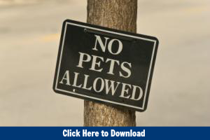 No Pets Allowed (FREE)