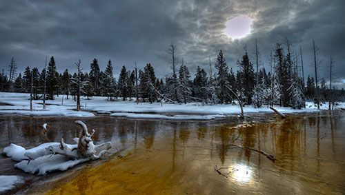 Winter Scene in Yellowstone National Park