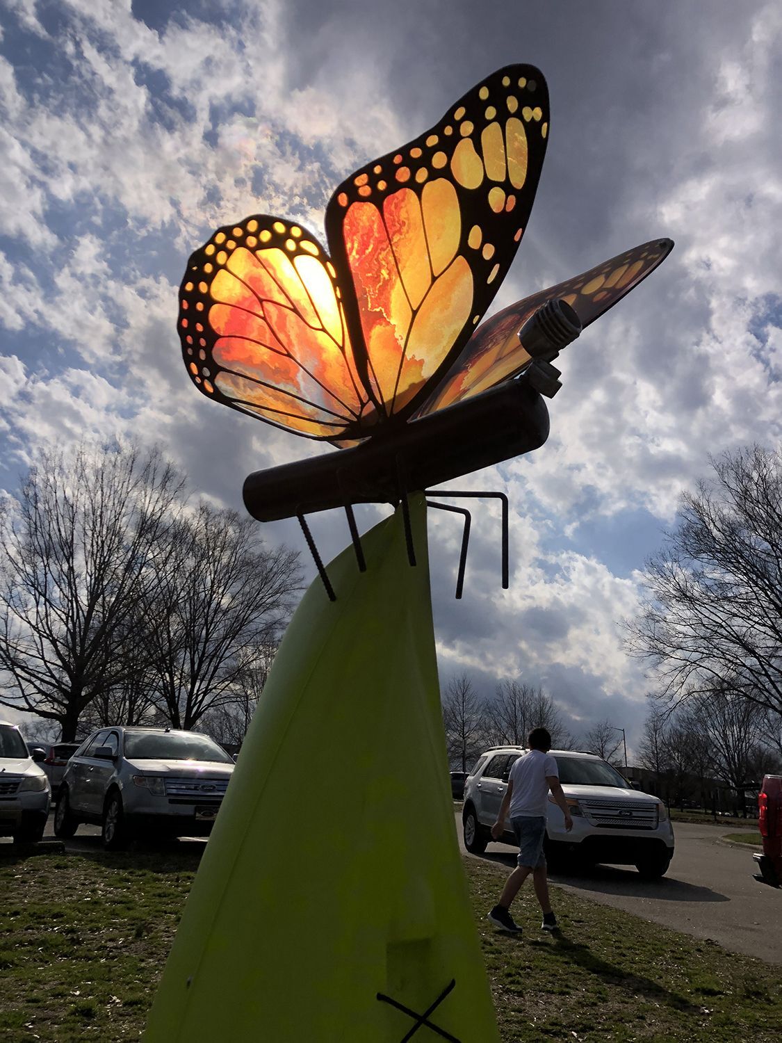 #7 Pollinator