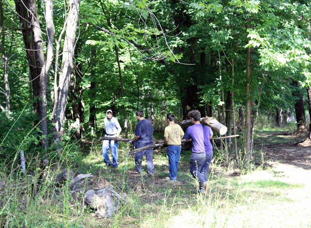 Human helpers join goats in clearing trails