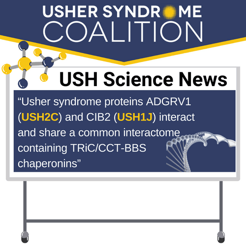 USH Science News: "Usher syndrome proteins ADGRV1 (USH2C) and CIB2 (USH1J) interact and share a common interactome containing TRiC/CCT-BBS chaperonins". There's a small image of a DNA molecule.