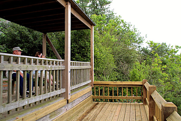 Viewing Platform
