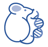 What to make of T1D in Mice