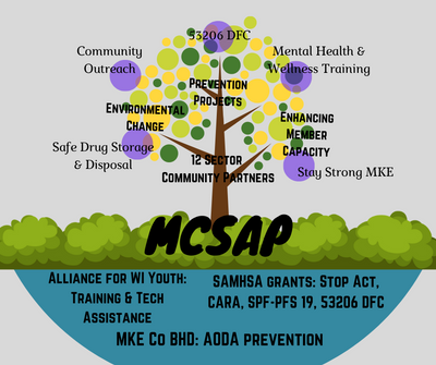 mcsap structure graphic