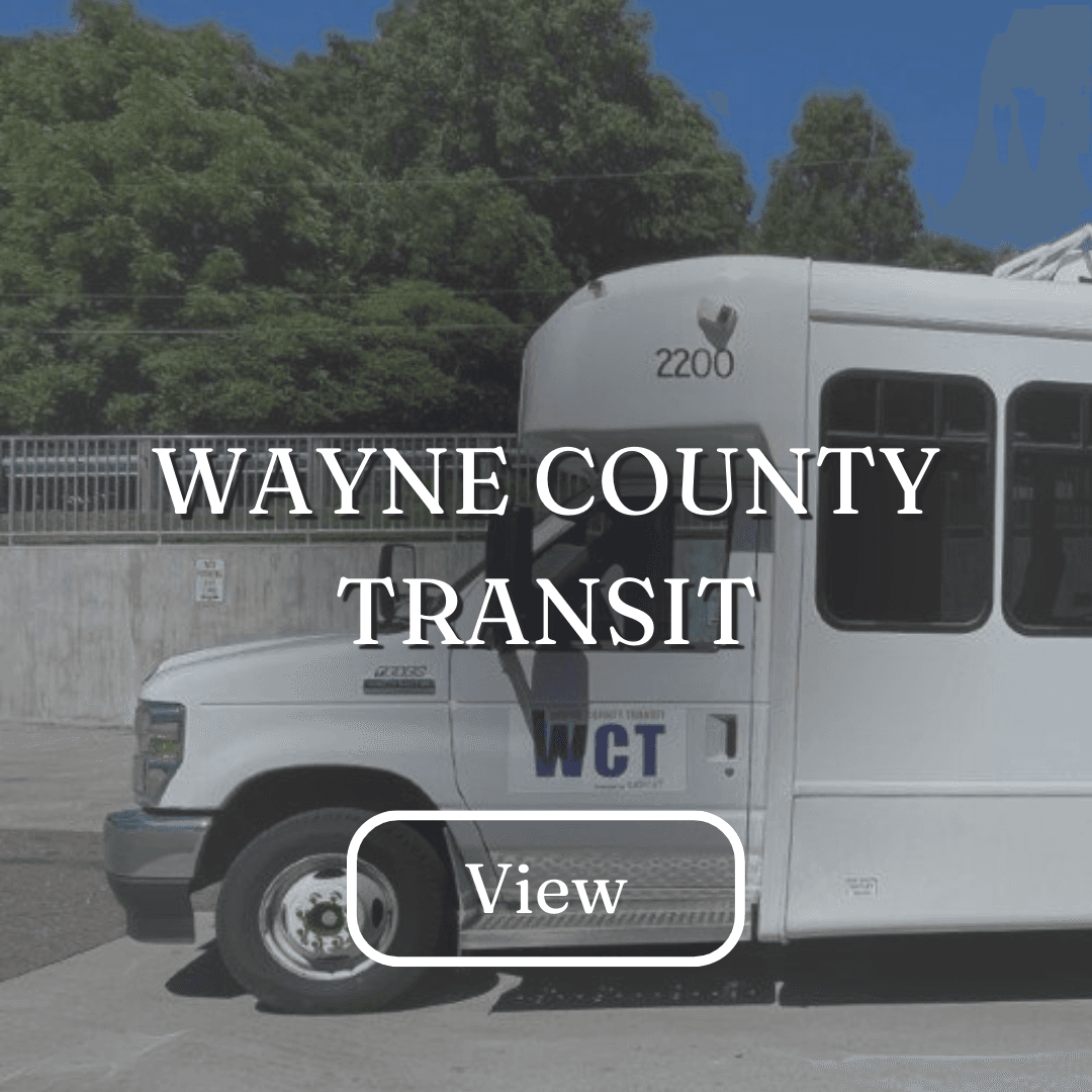 Button for Wayne County Transit