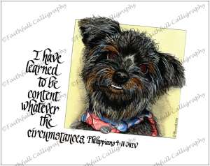 CONTENT (Philippians, Encouragement, Faithwalk)