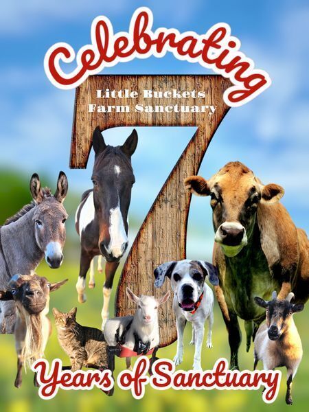 Then Celebrating 7 Years of Sanctuary