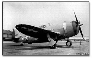 P-47 Thunderbolt: Aviation Darwinism