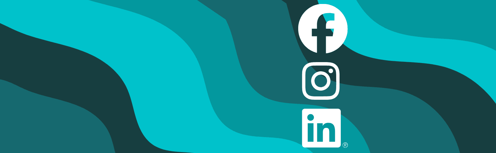 Follow AVA on Facebook!