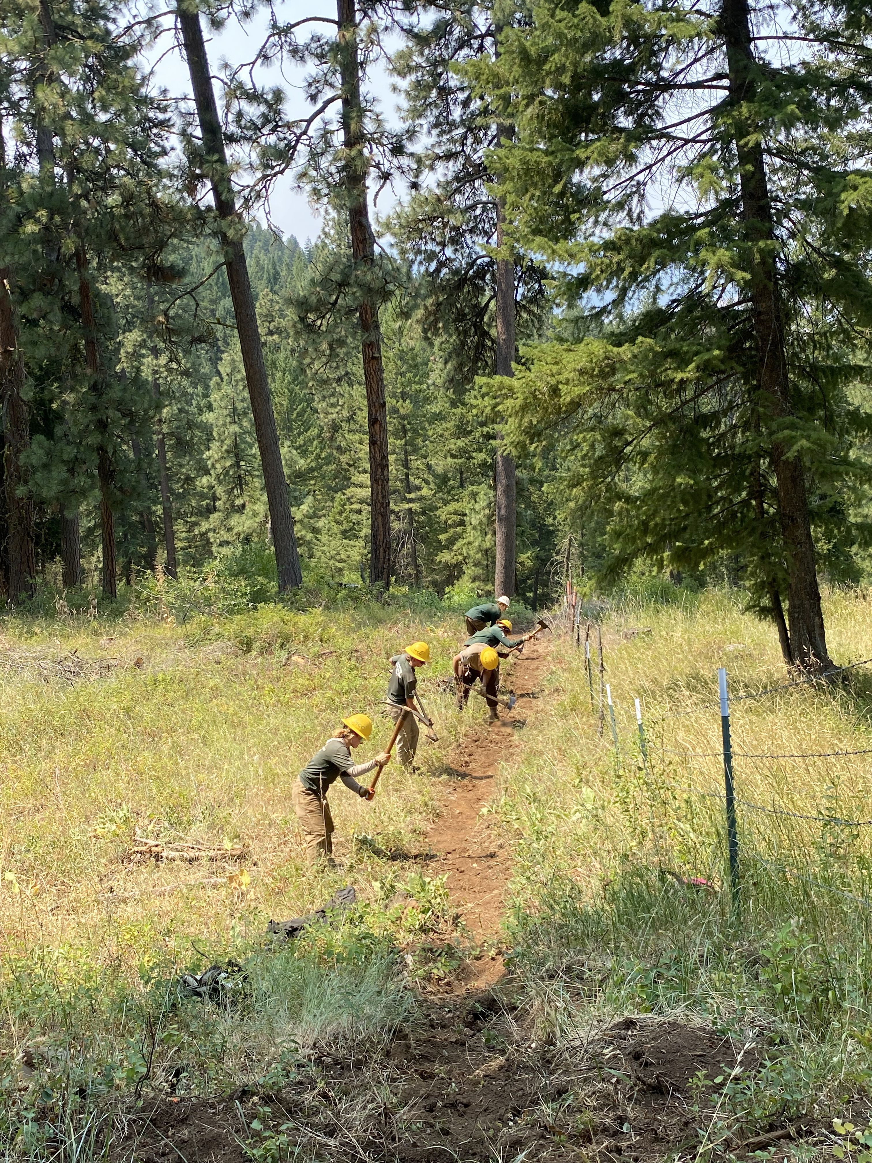 Crew members working on digging a trail