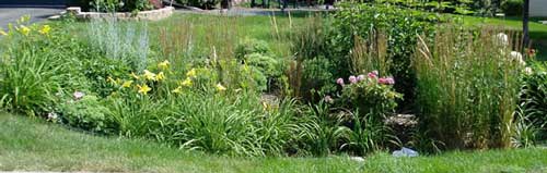 Rain Gardens