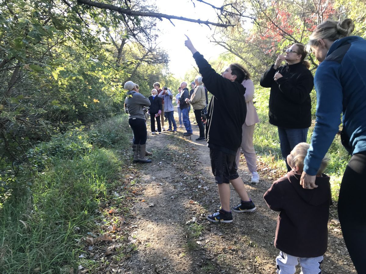 Phil's BIRD WALK Programs & Classes Activities Mary Jo Wegner