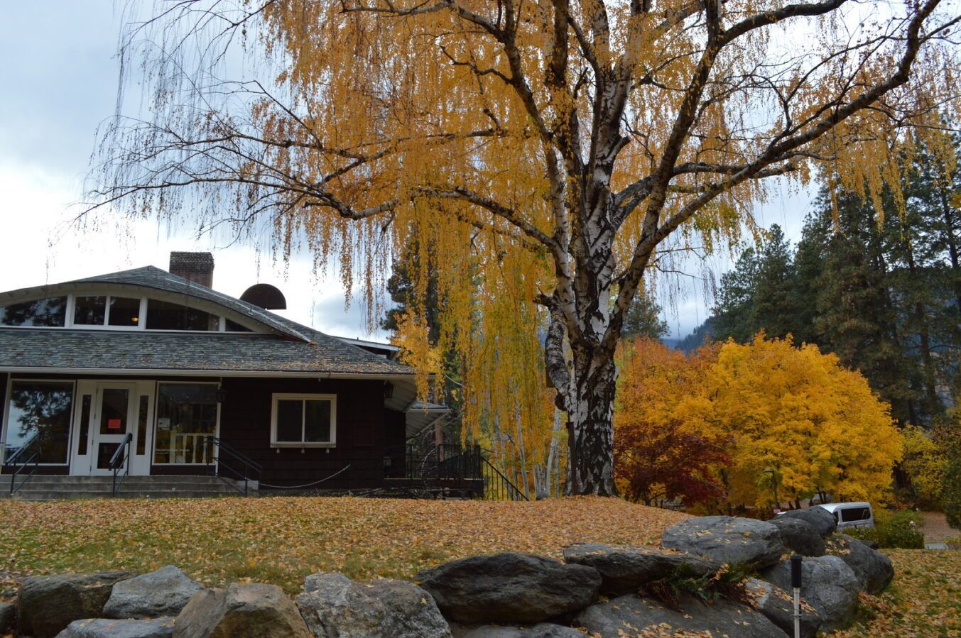 November 15th E-Newsletter