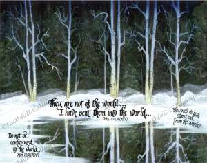 IN NOT OF (John, Romans, Faithwalk, Seasonal, Service/Ministry)