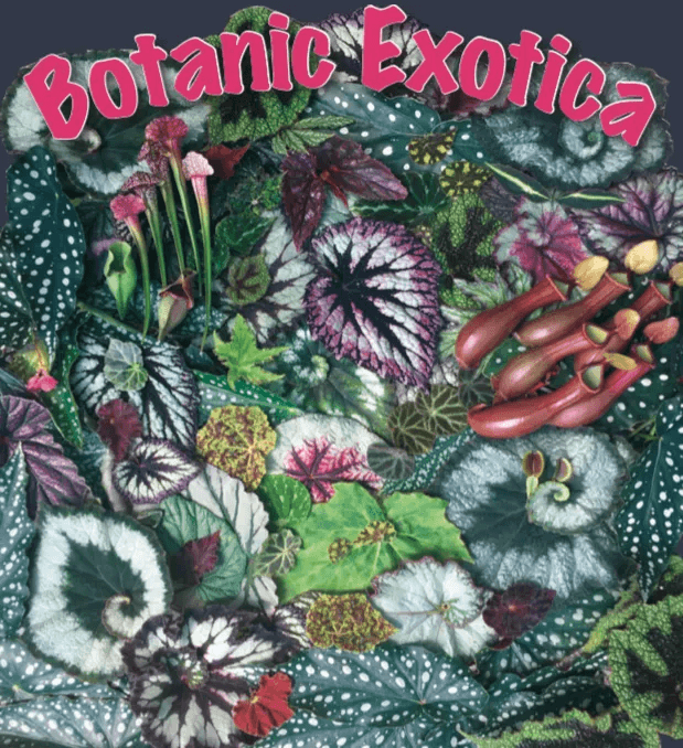 Botanic Exotica