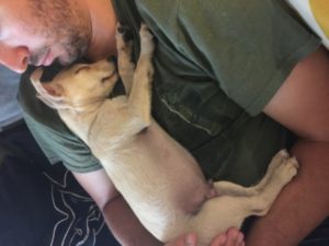 LD 3 month Post- adoption