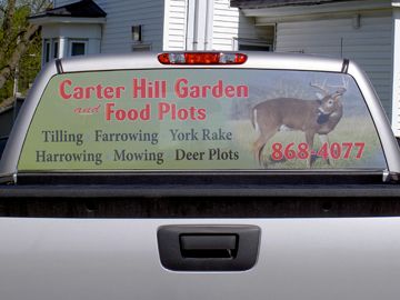 Vehicle Window