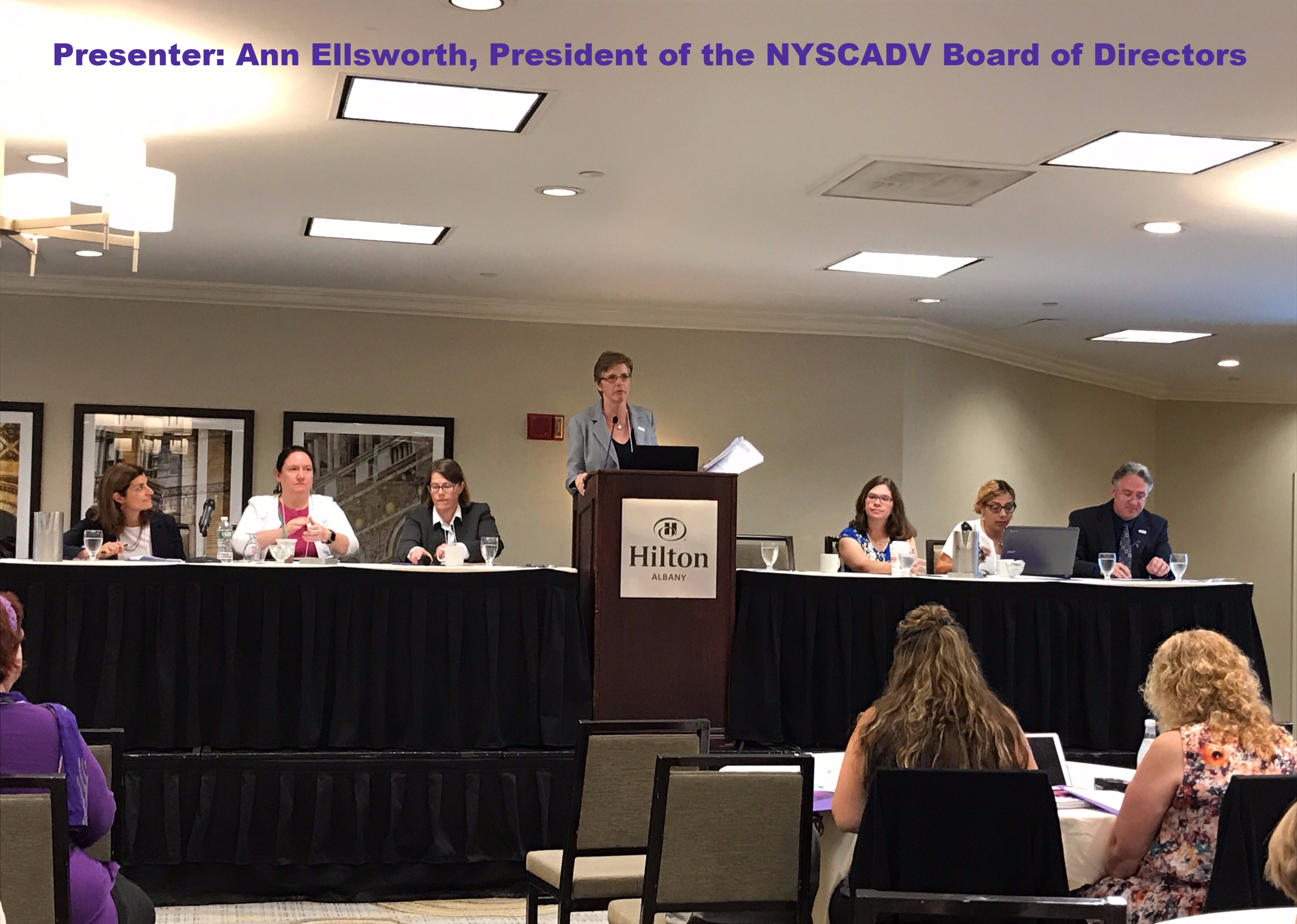 Recap of the 2017 NYSCADV Annual Meeting
