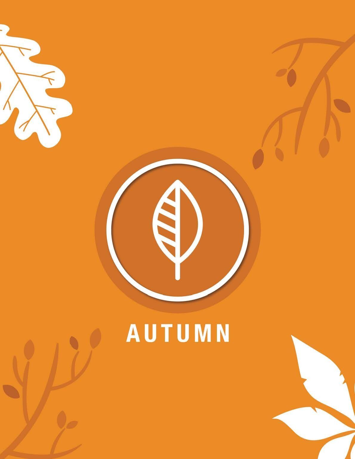 Autumn Activity Guide