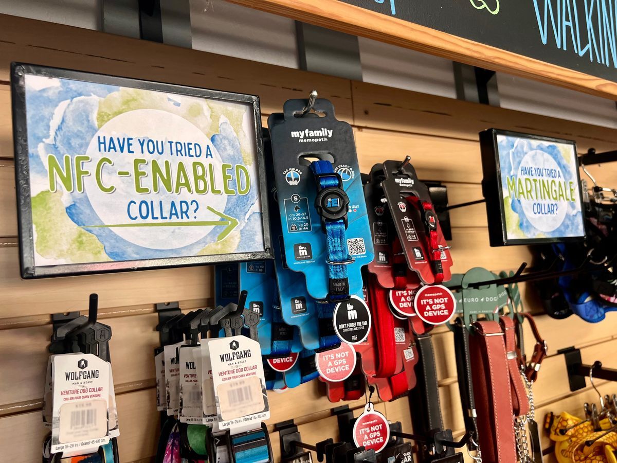 NFC-Enabled Dog Collars | Near Field Communication Collars | My Family