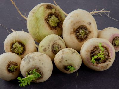 We Are Dishing Out Hakurei Turnips!