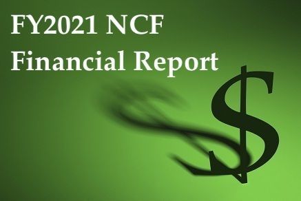 FY 21 Financial Report