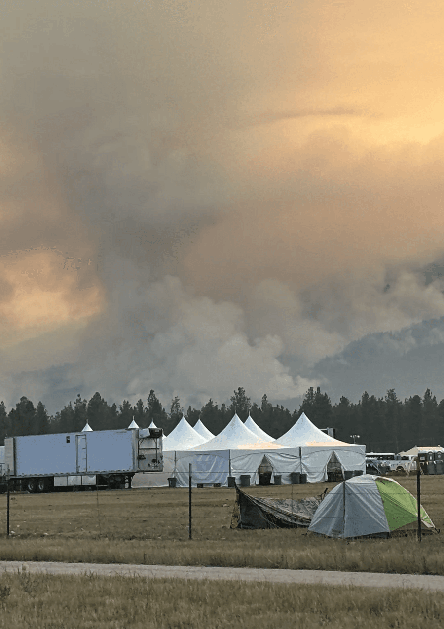 Animal Emergency Preparedness