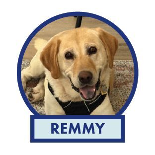 Remmy