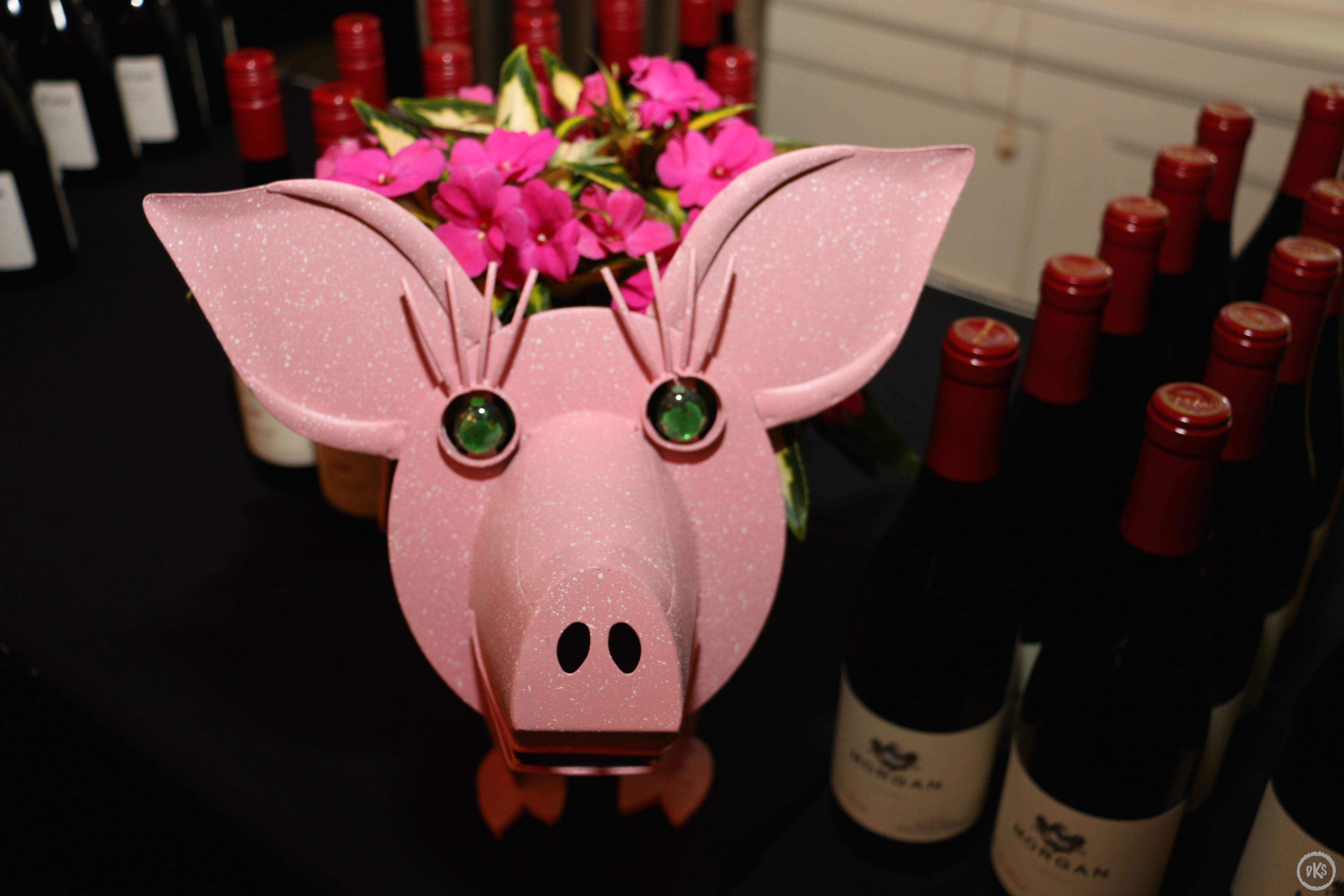 Pinot, Pigs & Poets Attendees