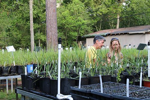 Natives Nursery Open House