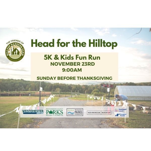Head for the Hilltop 5k + Kids Fun Fun