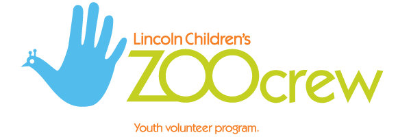 Youth Volunteer Program