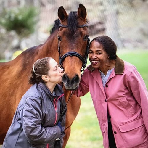 Dressage Riding Schools